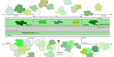 Tekening: Dynamisch Wildwaarschuwingssysteem / Faunaoversteekplaats