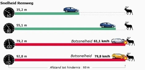 Tekening: Impact botsingen net wilde dieren