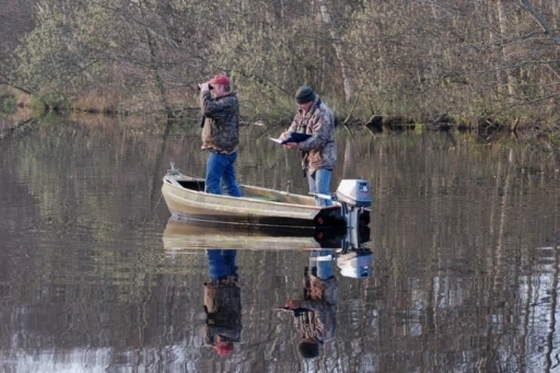 Afbeelding: Reeëntellen in de Weerribben