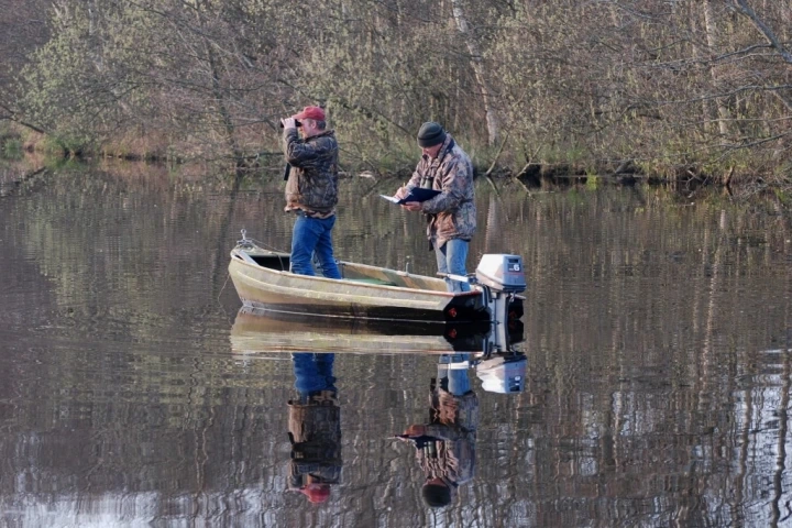 Afbeelding: Faunatellen vanuit boot