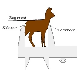 Afbeelding: Meten romplengte