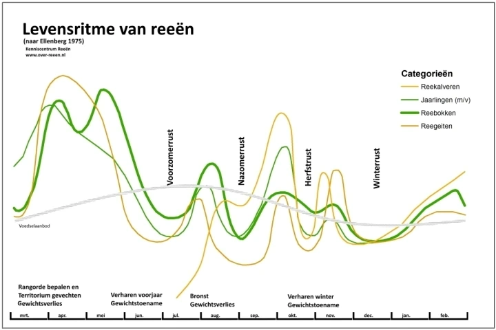 Grafiek: Levensritme van ree naar Ellenberg 1975