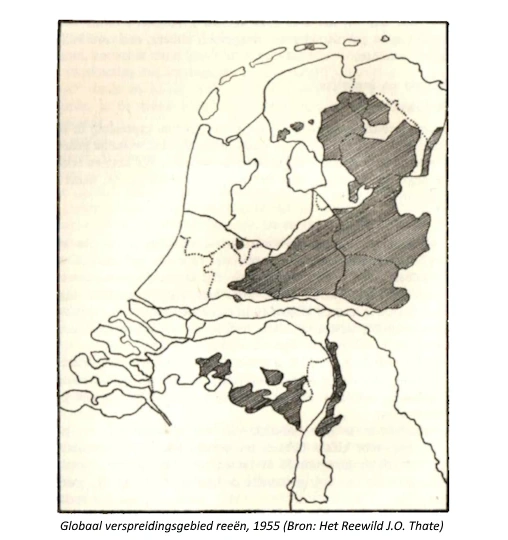 Kaart: Globaal verspreidingsgebied reeën, 1955 (Bron: Het Reewild, Mr. J.O. Thate